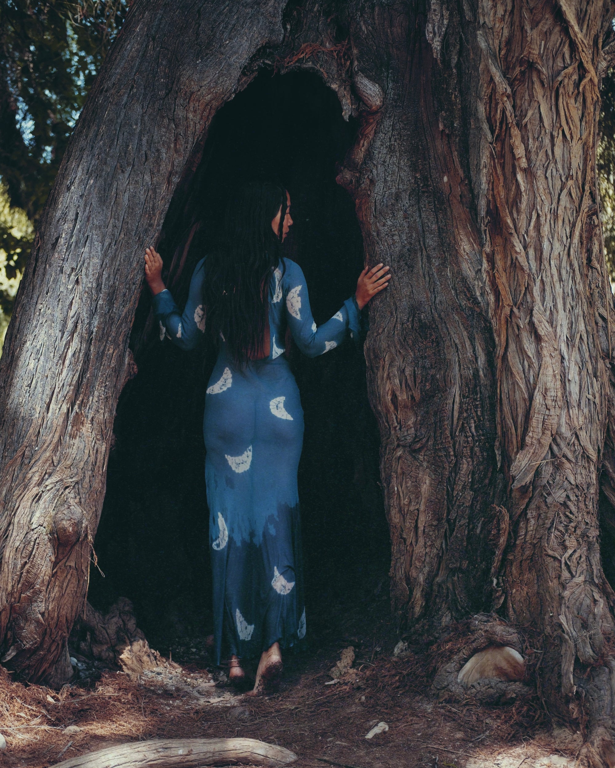The Blue Moon Dress
